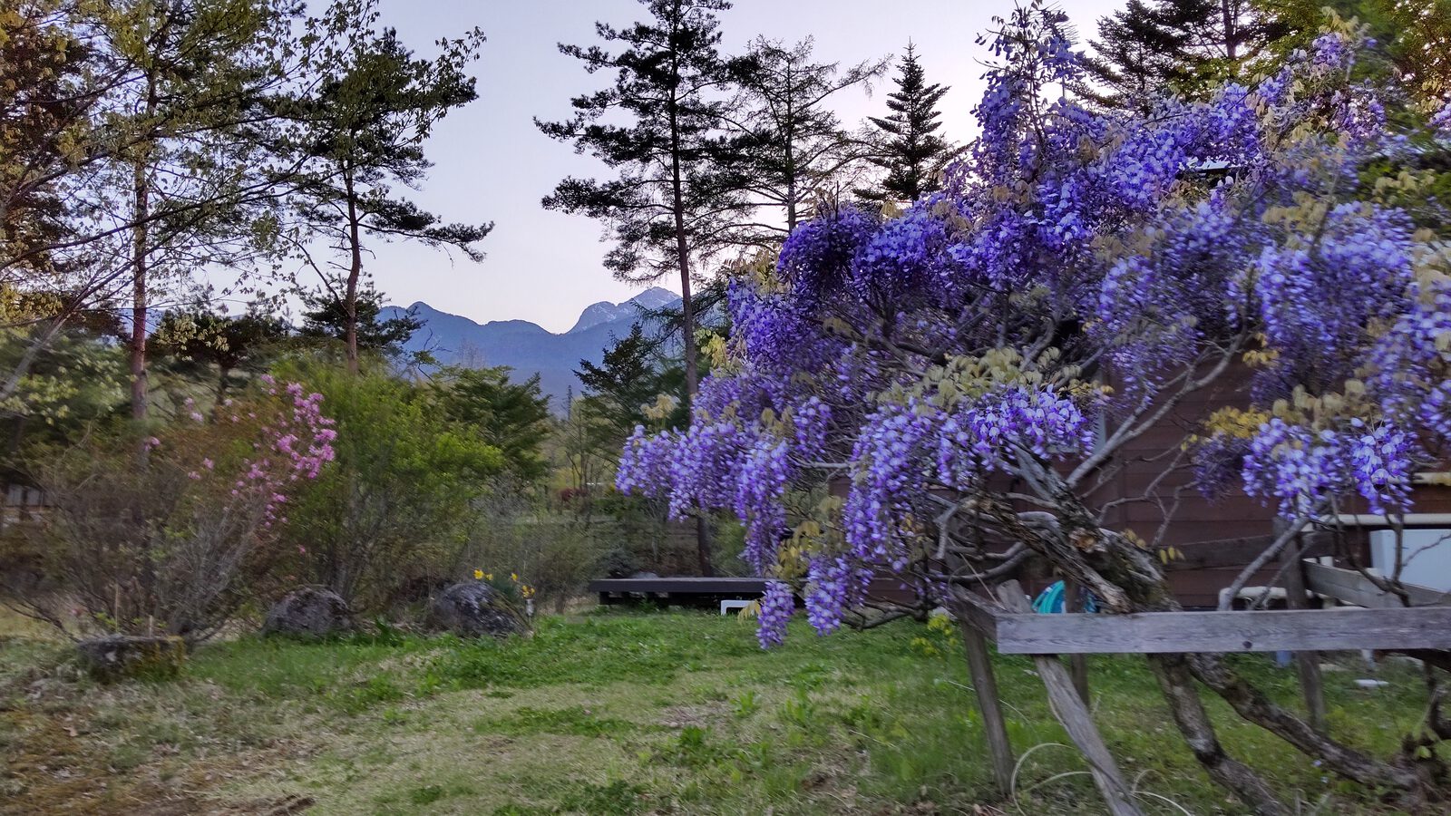 四季折々の花が咲く庭