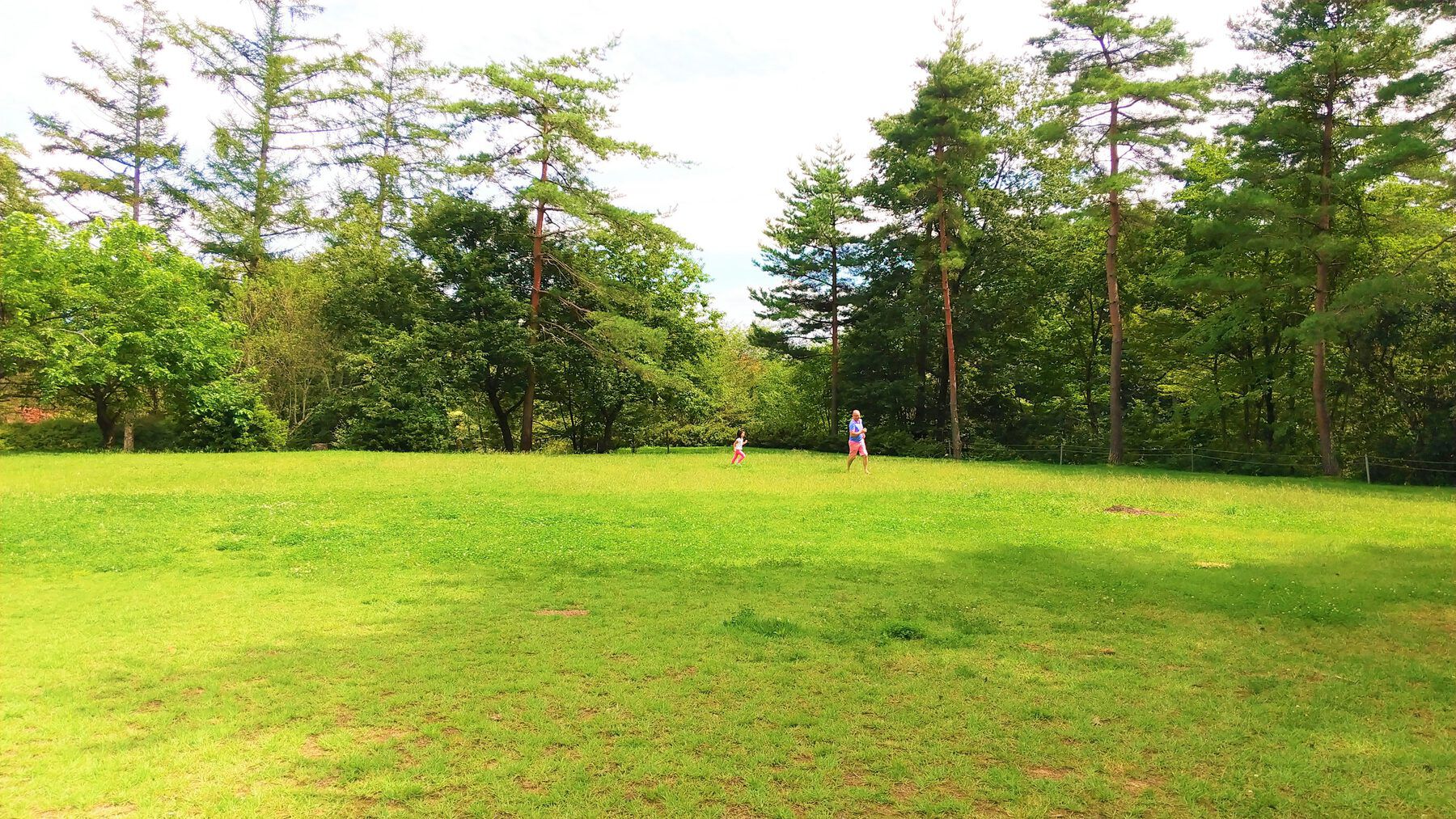 芝生のガーデンフィールドで過ごすひととき